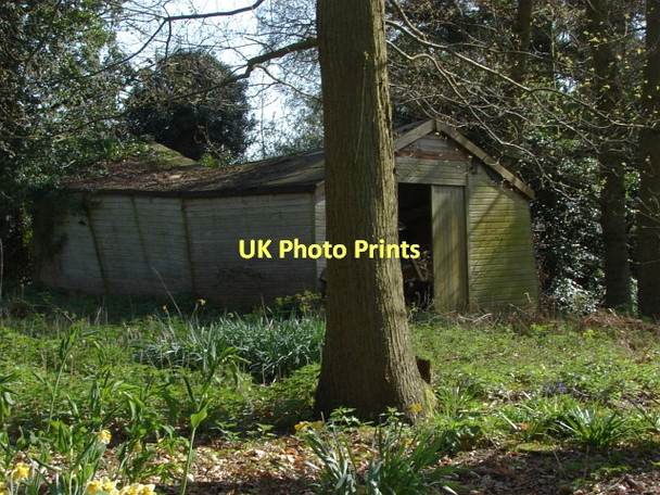 Photo 6"x4" Ruined shed, Berry Lane Fox Corner\/SU9654 c2011