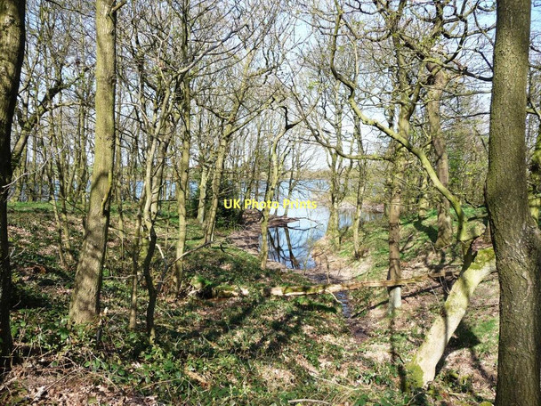 Photo 6"x4" Wooded inlet, Royd Moor reservoir Penistone c2011