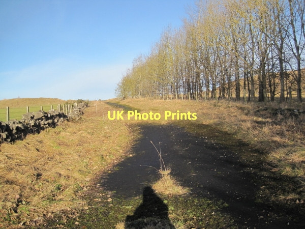 Photo 6"x4" Old Quarry road near Ryal Ryal\/NZ0174 c2011