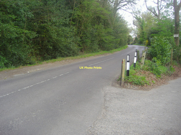Photo 6"x4" Ride Way Ewhurst Peaslake c2011