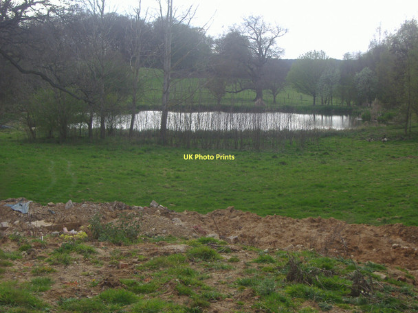 Photo 6"x4" Pond at Cotterell House, Burrows Cross Albury Heath c2011