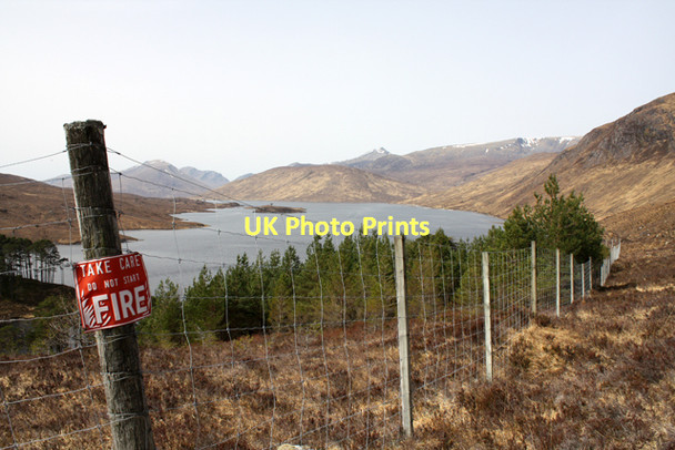 Photo 6"x4" Plantation beside Loch Monar Creag an Fhir-e\u00f2in c2011