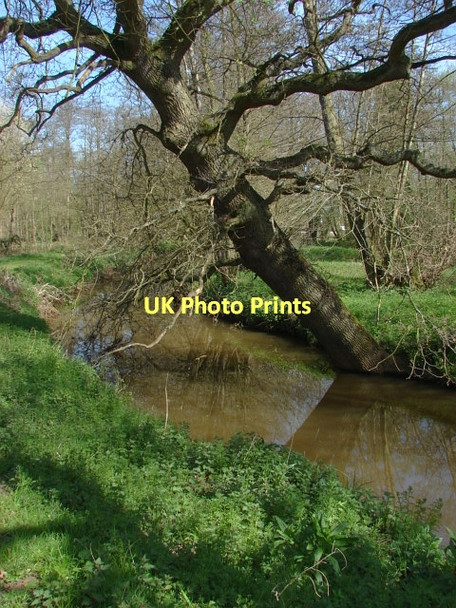Photo 6"x4" Fox Corner Wildlife Area Fox Corner\/SU9654 c2011 P1
