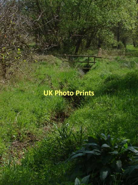 Photo 6"x4" Fox Corner Wildlife Area Fox Corner\/SU9654 c2011 P1