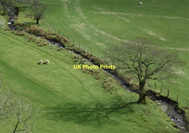 Photo 6"x4" Pasture and stream near Ystradffin, Carmarthenshire Nant-y-Bai c2011