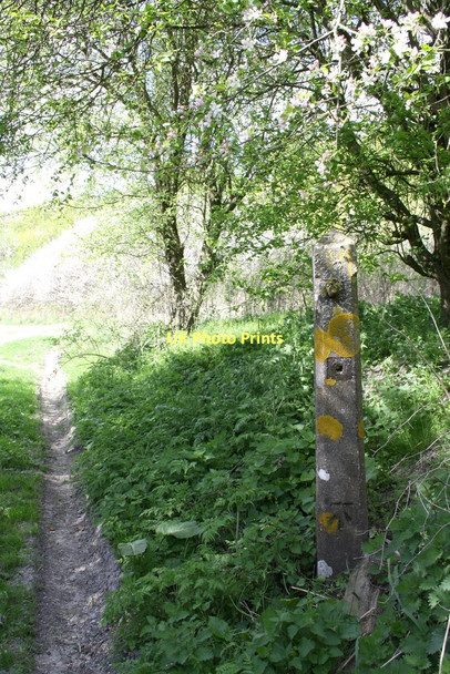 Photo 6"x4" Benchmarked gatepost on north side of former Didcot, Newbury Southampton railway line Upton\/SU5186 c2011