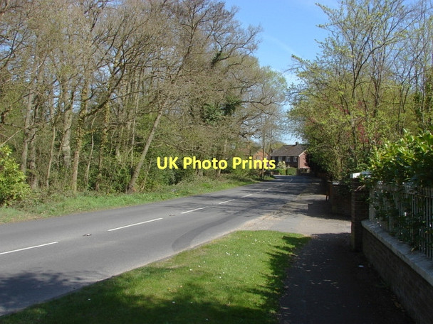 Photo 6"x4" Fox Corner Fox Corner\/SU9654 c2011