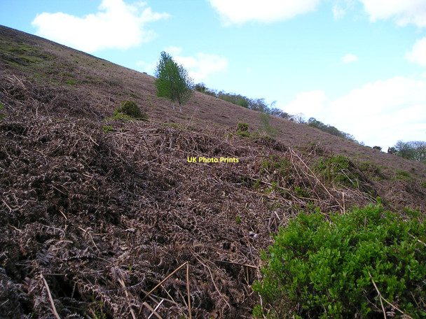 Photo 6"x4" Bracken-clad hillside Glanaman c2011