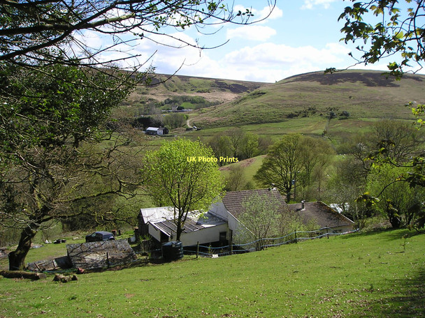 Photo 6"x4" Hill farms Glanaman c2011