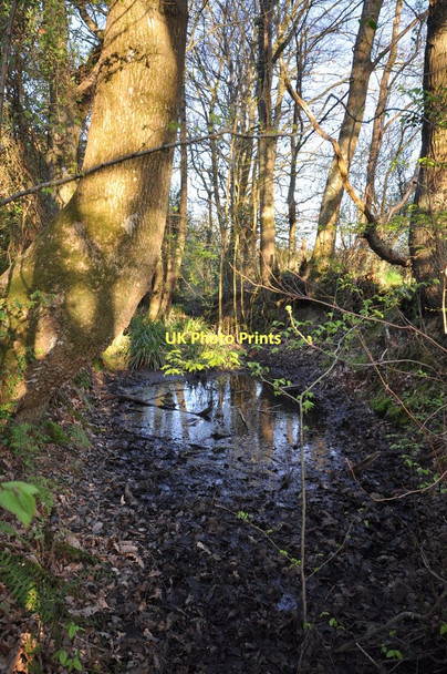 Photo 6"x4" Groundwater south of Sampson's Plantation Bickleton c2011