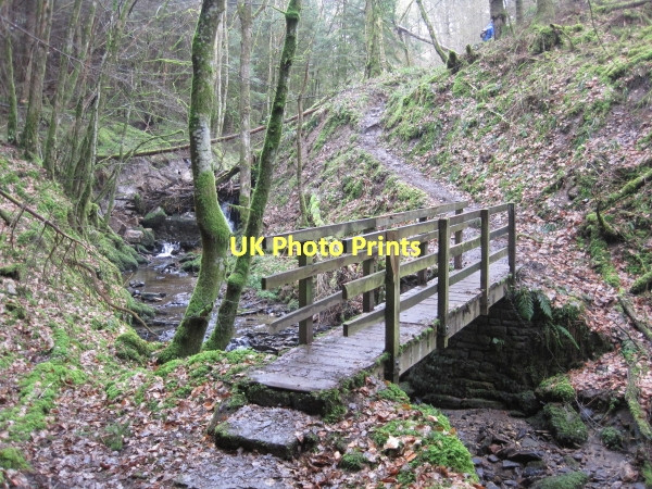 Photo 6"x4" Footbridge over Harsondale Burn Langley\/NY8261 c2011