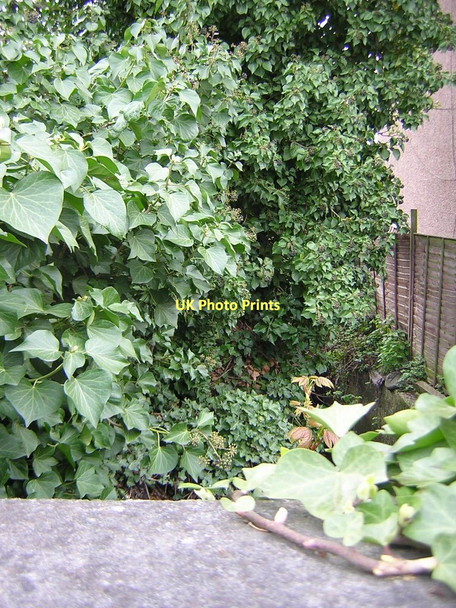 Photo 6"x4" Lucerne Road: looking upstream at crossing of Norbury Brook Penge c2011