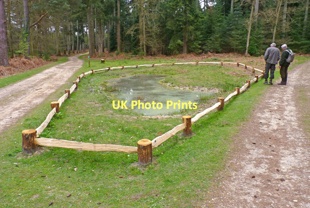 Photo 6"x4" Newly Fenced Pond, New Forest Bank\/SU2807 c2011