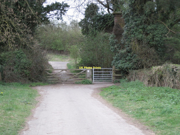 Photo 6"x4" Five Bridges Road St Cross c2011