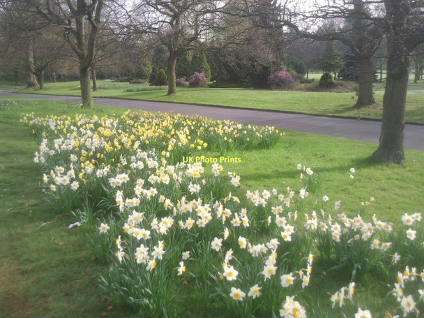 Photo 6"x4" Springtime in Beckenham Place Park Beckenham c2011