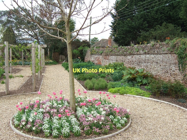 Photo 6"x4" The Walled Gardens of Cannington Cannington c2011