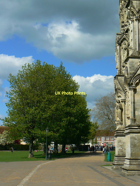 Photo 6"x4" Trees and the west face of Salisbury Cathedral Salisbury c2011