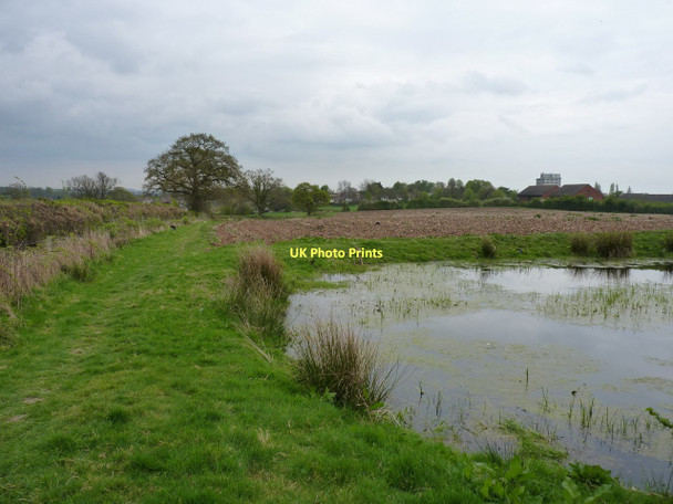 Photo 6"x4" Pond and footpath at Allesley Allesley c2011