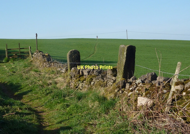 Photo 6"x4" Footpath into open grassland Dale End\/SK2161 c2011