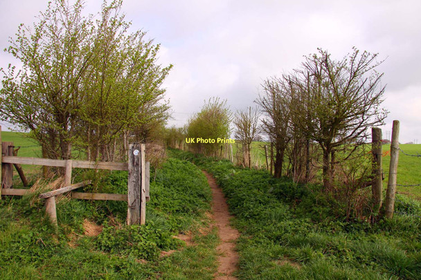 Photo 6"x4" Bridleway to Beckley Barton\/SP5507 c2011