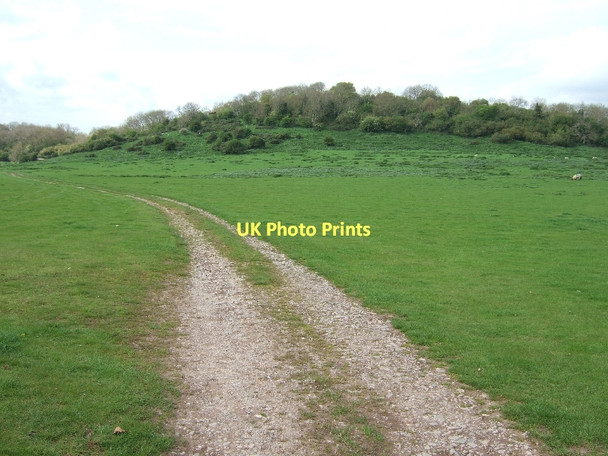 Photo 6"x4" Track to Horn Hill Edbrook\/ST2340 c2011