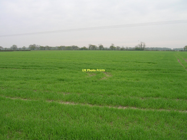 Photo 6"x4" Farmland near Barlby Selby c2011