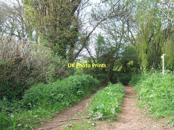Photo 6"x4" Footpath at Bonson Bonson c2011