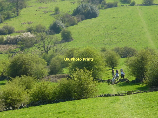 Photo 6"x4" Spring afternoon walk near Elton Dale End\/SK2161 c2011