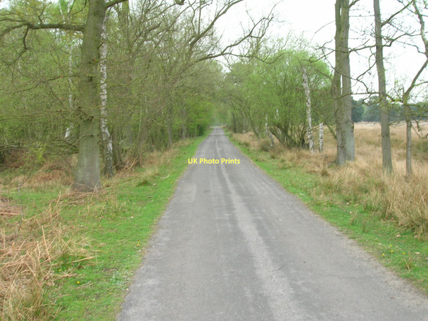 Photo 6"x4" Track on Skipwith Common Skipwith c2011