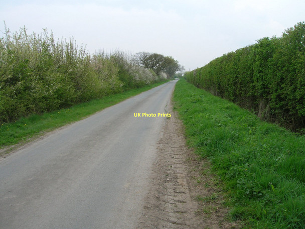 Photo 6"x4" Greengate Lane towards South Duffield South Duffield c2011
