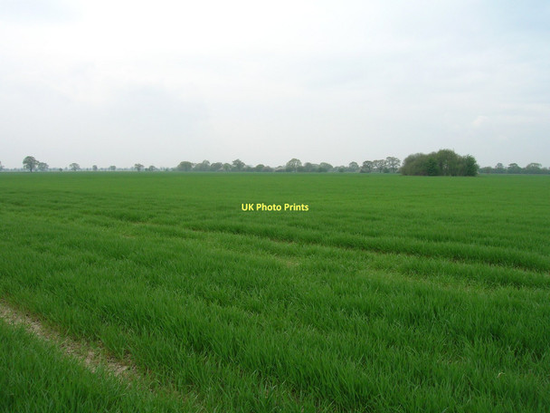 Photo 6"x4" Farmland off Menthorpe Lane Gunby\/SE7035 c2011