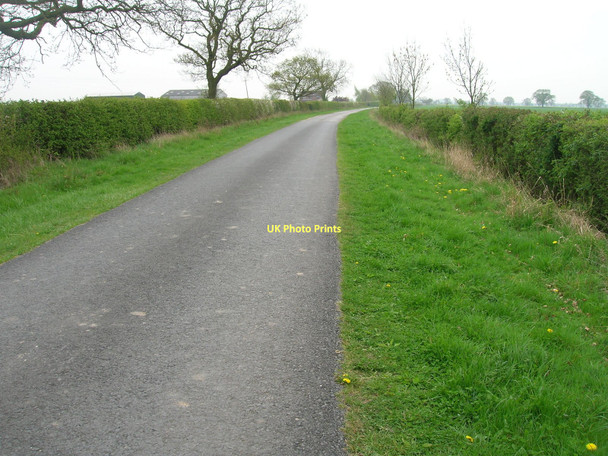 Photo 6"x4" Menthorpe Lane Gunby\/SE7035 c2011