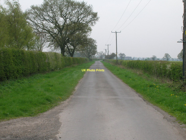 Photo 6"x4" Menthorpe Lane Gunby\/SE7035 c2011
