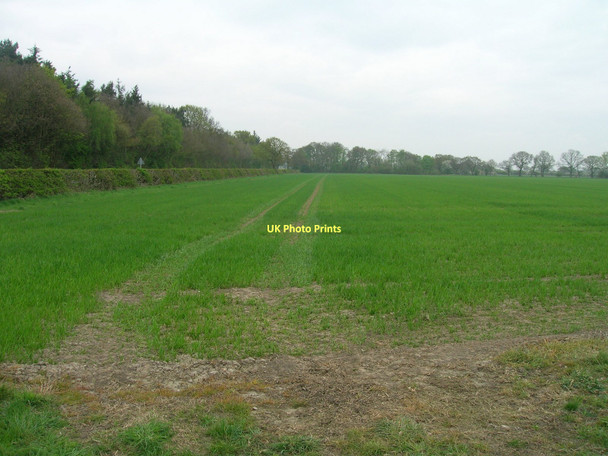 Photo 6"x4" Farmland, Aughton Common Aughton\/SE7038 c2011