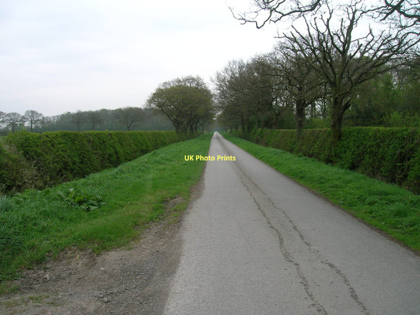 Photo 6"x4" Long Lane towards Laytham Aughton\/SE7038 c2011