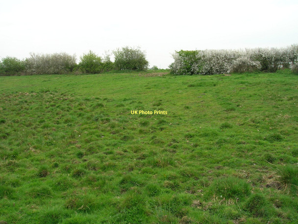 Photo 6"x4" Pasture off Bowland Lane Laytham c2011