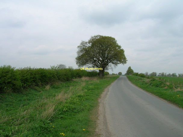 Photo 6"x4" Minor road towards East Cottingwith East Cottingwith c2011
