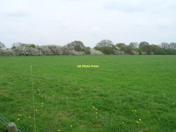 Photo 6"x4" Farmland, New Lands Storwood c2011