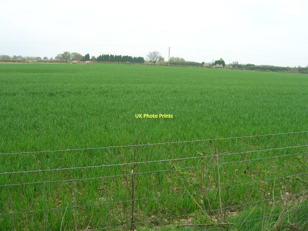 Photo 6"x4" Farmland off Hagg Lane Storwood c2011
