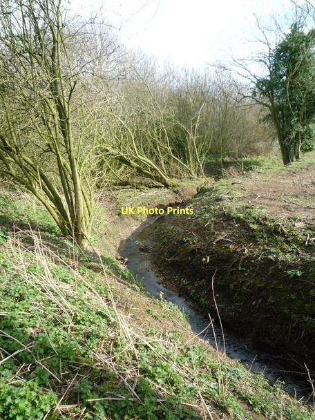 Photo 6"x4" Stream beside Poringland Community Woodland Poringland c2011