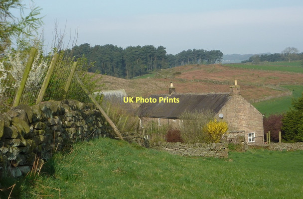 Photo 6"x4" Cliff Farm Dale End\/SK2161 c2011