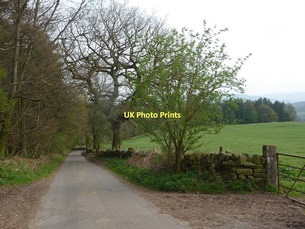 Photo 6"x4" Lane north of Harthill Moor Farm Birchover c2011