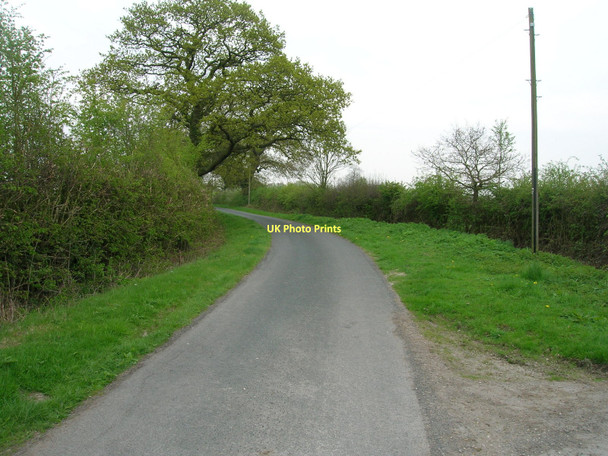 Photo 6"x4" Ferry Lane towards the River Derwent East Cottingwith c2011