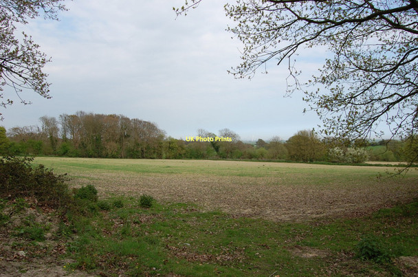 Photo 6"x4" Fields near Houghton Green Rye c2011