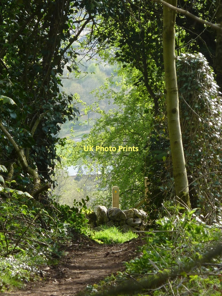 Photo 6"x4" Footpath to Matlock Matlock c2011