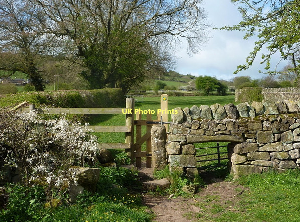Photo 6"x4" Hillside footpath climbing away from Matlock Matlock c2011