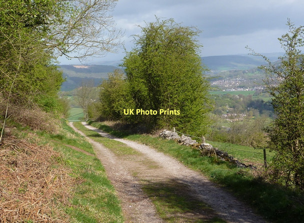 Photo 6"x4" Track to Salters Lane Matlock c2011
