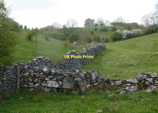 Photo 6"x4" Rough hillside south of Wensley Brightgate c2011