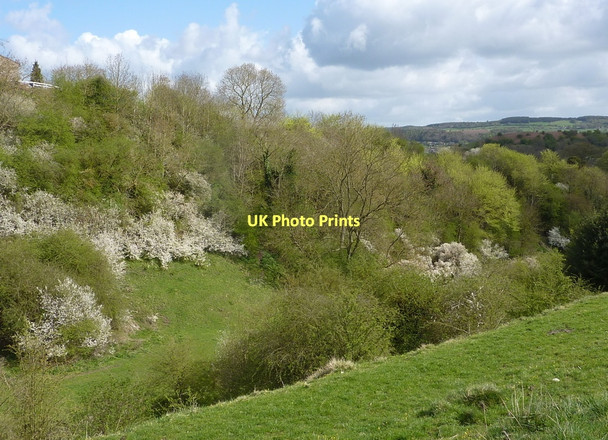Photo 6"x4" Wensley Dale, Derbyshire Brightgate c2011