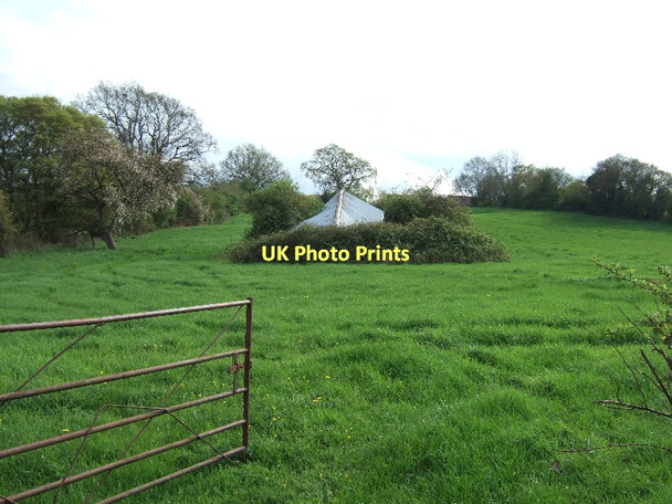 Photo 6"x4" Field by Quantock Road Durleigh c2011